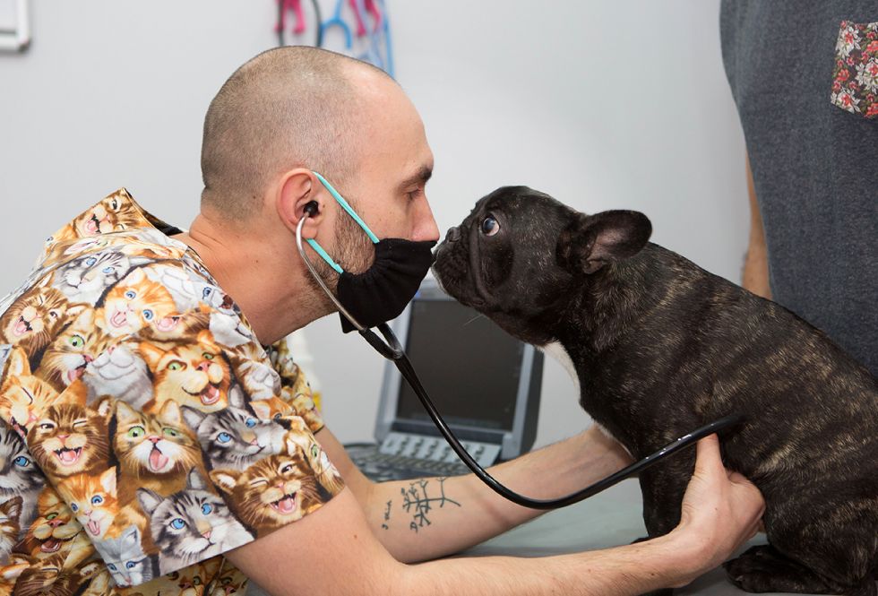 gabinet weterynaryjny Vets&Pets, Wrocław, sesja wizerunkowa Luiza Różycka Wrocław 14