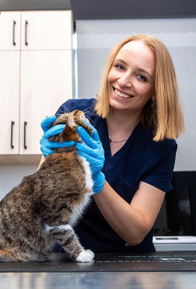 Profesjonalne zdjęcia lekarzy weterynarii 098