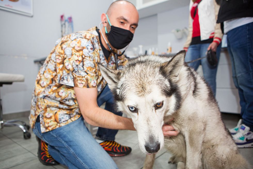 gabinet weterynaryjny Vets&Pets, Wrocław, sesja wizerunkowa Luiza Różycka Wrocław 13