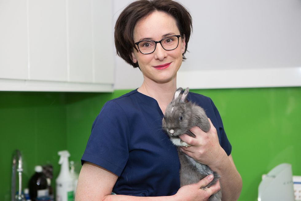 Gabinet weterynaryjny Dingo Ciechanów, sesja wizerunkowa Luiza Różycka 6