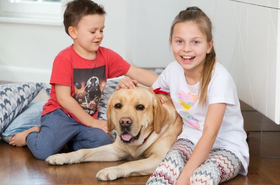 sesje rodzinne, Luiza Różycka, Luiza Różycka fotografia 2
