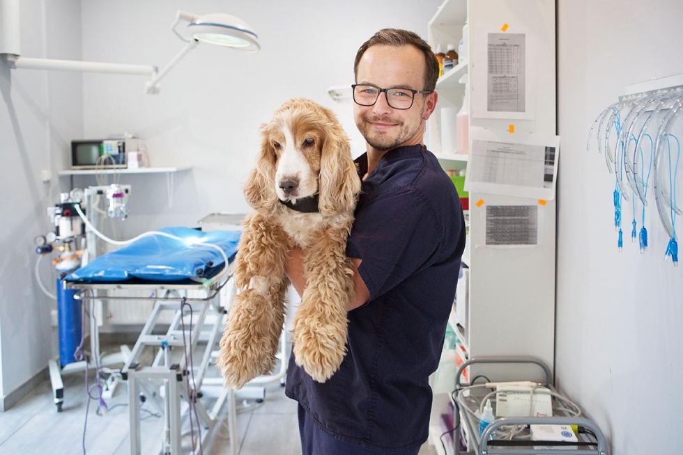 Michał Dubiel, lekarz weterynarii ortopeda, zdj. Luiza Różycka fotografia,  fotografia wizerunkowa Luiza Różycka fotografia, gabinet weterynaryjny Vets & pets Wrocław 9