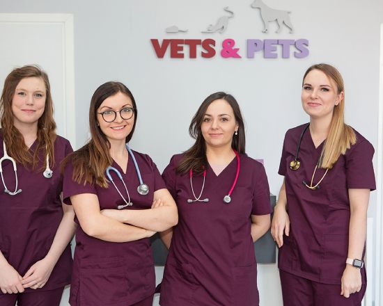 Lecznica weterynaryjna Vets&Pets