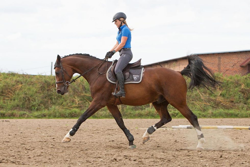 Monika Knoppek, sesja plenerowa, foto: Luiza Różycka, trening jeździecki