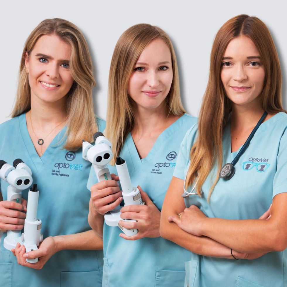 Profesjonalne zdjęcia lekarzy wrocław 908