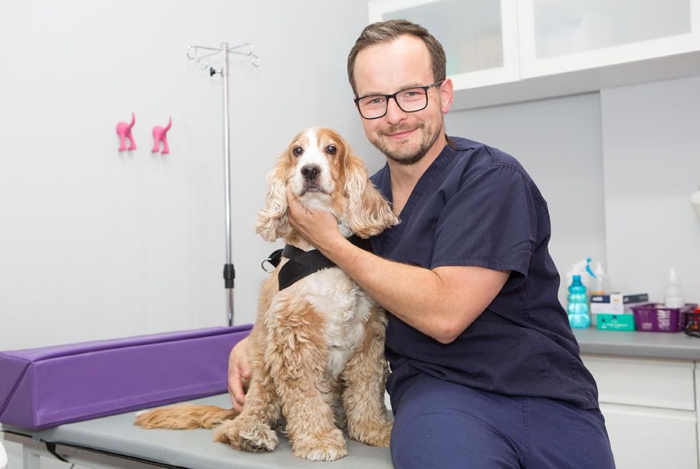 Michał Dubiel, lekarz weterynarii ortopeda, zdj. Luiza Różycka fotografia,  fotografia wizerunkowa Luiza Różycka fotografia, gabinet weterynaryjny Vets & pets Wrocław