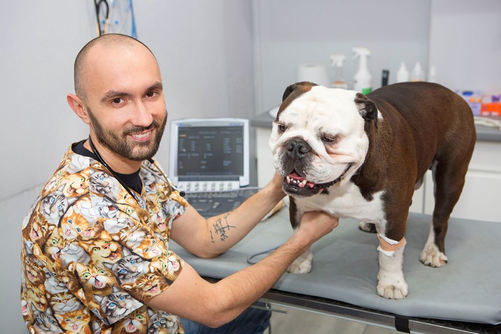 gabinet weterynaryjny Vets&Pets, Wrocław, sesja wizerunkowa, Luiza Różycka Wrocław 9