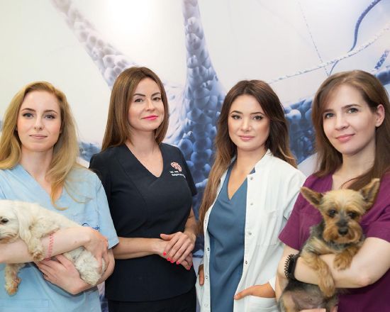 Klinika weterynaryjna NEUROVET