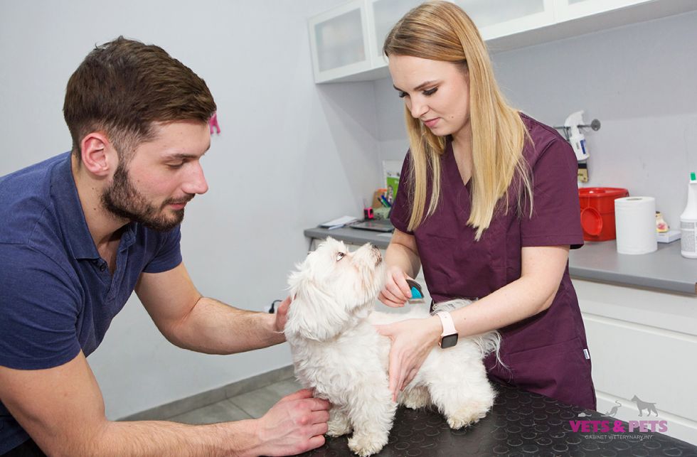 gabinet weterynaryjny Vets&Pets, Wrocław, sesja wizerunkowa Luiza Różycka Wrocław 8