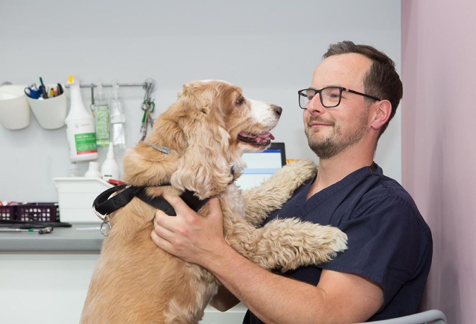 Michał Dubiel, lekarz weterynarii ortopeda, zdj. Luiza Różycka fotografia,  fotografia wizerunkowa Luiza Różycka fotografia, gabinet weterynaryjny Vets & pets Wrocław 2