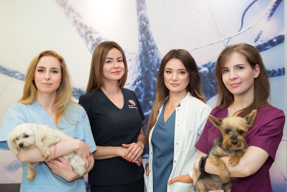 Przychodnia weterynaryjna Neurovet Warszawa, sesja wizerunkowa Luiza Różycka fotografia