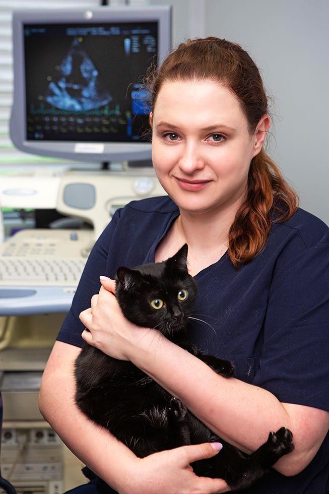 Profesjonalne zdjęcia lekarzy weterynarii