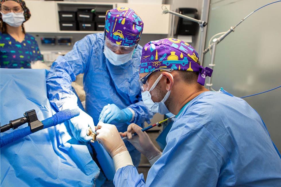 Social media, content creator, Mobile video @ Reels dla medycyny