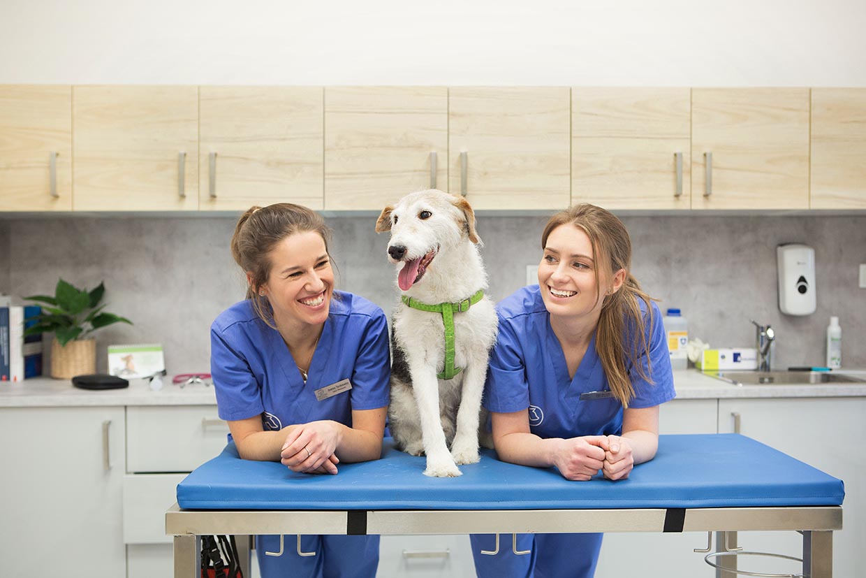 Przychodnia Weterynaryjna Cieplicka